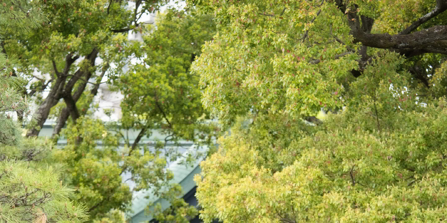 Tokyo: Wedding Photo Tour dengan 3 Lokasi & Pro Styling